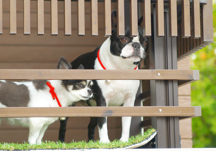 株式会社スペースプランニング