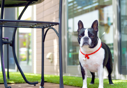 株式会社スペースプランニング