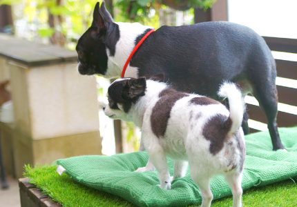 株式会社スペースプランニング