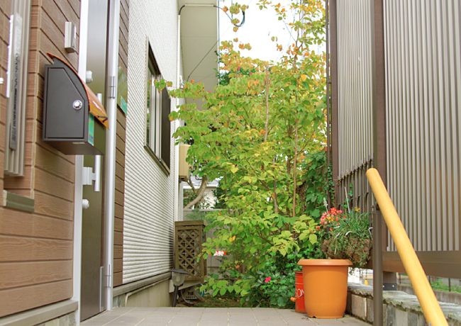 玄関まわりのガーデニング