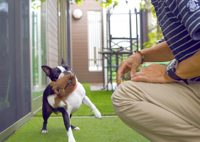 スペースプランニングのペットと暮らすお庭づくりご提案いたします