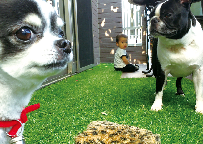 スペースプランニングのペットと暮らすお庭づくりご提案いたします